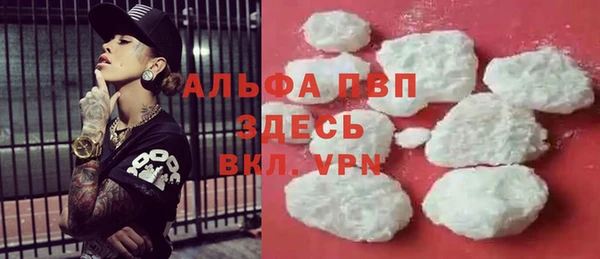 прущие грибы Алзамай