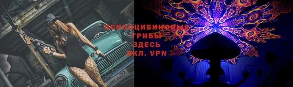 прущие грибы Алзамай