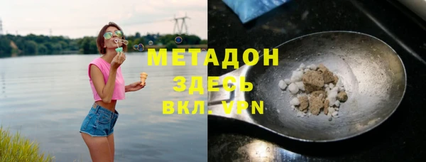 прущие грибы Алзамай
