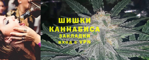 PSILOCYBIN Алексеевка