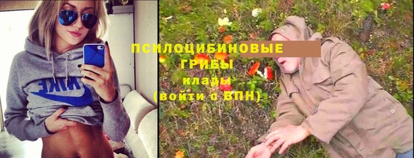 прущие грибы Алзамай