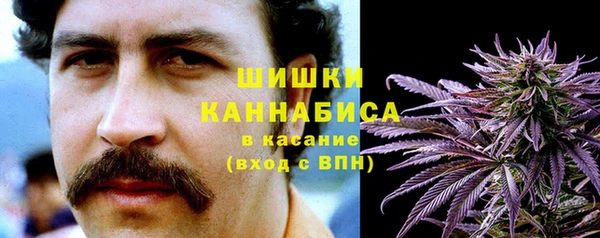 PSILOCYBIN Алексеевка