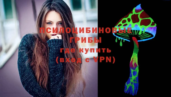 PSILOCYBIN Алексеевка