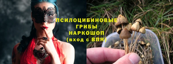 PSILOCYBIN Алексеевка